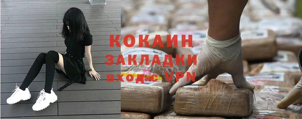 индика Красноперекопск