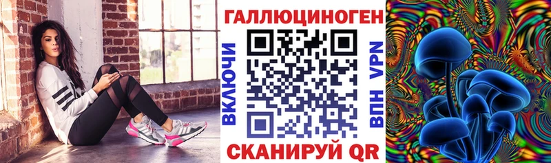 Галлюциногенные грибы Psilocybe  Янаул 