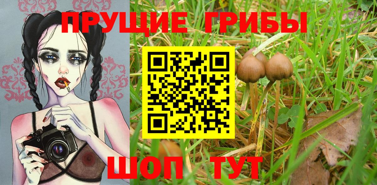 Янаул  Галлюциногенные грибы мицелий  Вход с VPN  Галлюциногенные грибы прущие грибы 